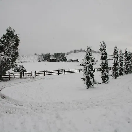 Casa di campagna Tenuta Agricola Fonte Di Papa