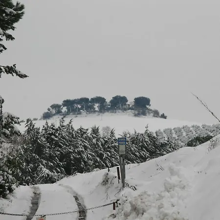 Tenuta Agricola Fonte Di Papa Monterotondo (Lazio)