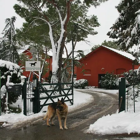Casa di campagna Tenuta Agricola Fonte Di Papa