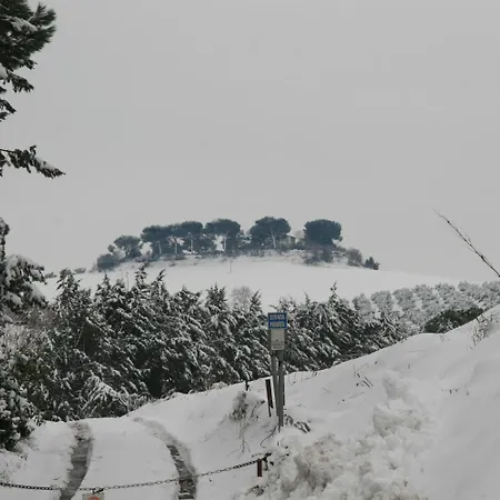 Tenuta Agricola Fonte Di Papa * Řím