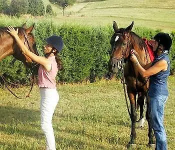 Casa di campagna Tenuta Agricola Fonte Di Papa *