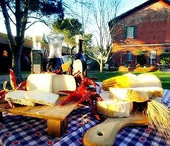 Tenuta Agricola Fonte Di Papa *